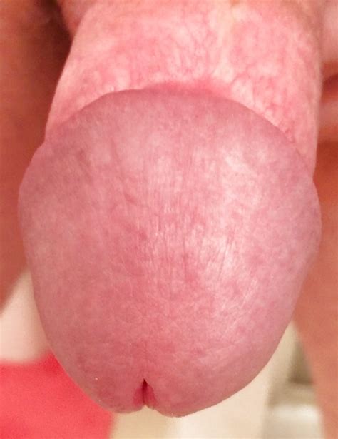cock head close up throbbing cock ready to cum 7 pics xhamster