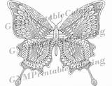 Zentangle Butterfly sketch template