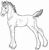 Foal Clydesdale sketch template