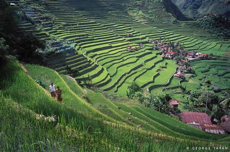Banaue Rice Terraces Ancient Rice Fields Philippines Philippines