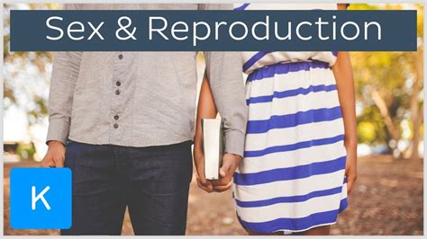 6 cool facts about sex reproduction and development human anatomy