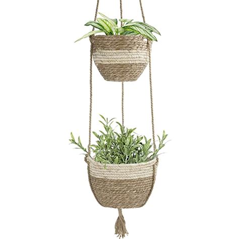 5 Best Hanging Baskets For Full Sun [apr 2024] Reviews And Buying Guide