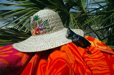 sun hat palm tree stock images download 1 803 royalty