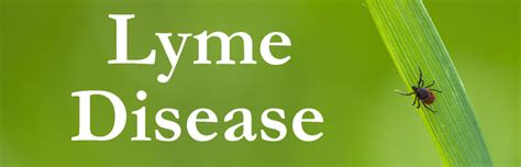 lyme disease how to avoid it and how we can help treat it hartz