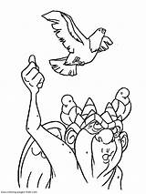 Gobbo Hunchback Bossu Coloriage Notredame Gargouille Quasimodo Oiseau Imprimer Coloriages Cartoni Vitalcom Cartoon sketch template