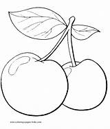 Cerezas Kirschen Vegetable N3 Frutas Cherries Pintar Drus Moldes 8kb Mariposas Granadas Limones Frutillas Uvas sketch template