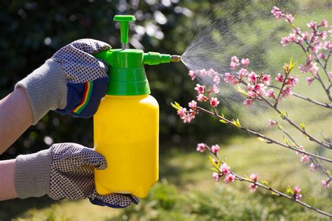 dangerous pesticides    harm people   environment