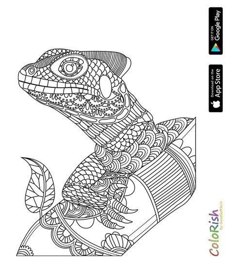 pin  coloring reptile