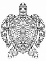 Ausmalbilder Schwer Meeresschildkröte sketch template