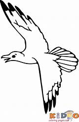 Seagull sketch template