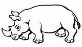 Rhino Hewan Mewarnai Rhinoceros Sketsa Darat Animales Binatang Salvajes Kumpulan Singa Gambarcoloring Putih Rhinos Berkaki Bestcoloringpagesforkids Jumanji Animasi Coloringbay Pinclipart sketch template