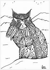 Coloring Cat Pages Cats Adult Mountains Adults Leen Margot Print Kids Desert Color Simple Justcolor Nggallery sketch template