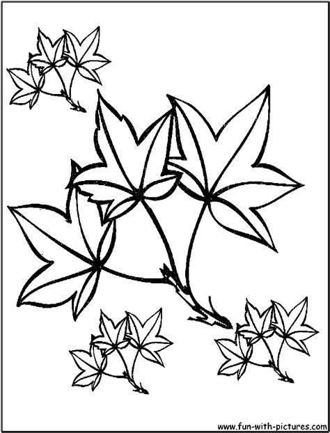 autumn leaves coloring pages  printable colouring pages  kids