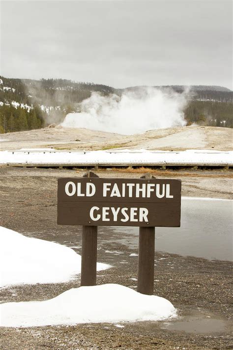 Old Faithful Geyser With Sign Yellowstone National Park