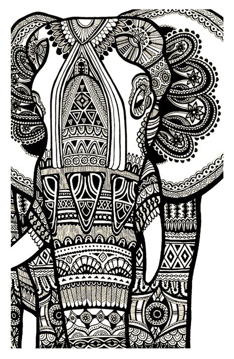 elephant color pages  adults pics super coloring