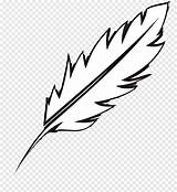 Bulu Feather Pena Burung Putih Pngegg sketch template