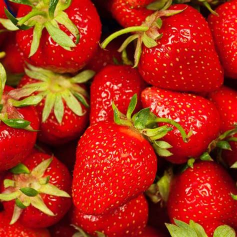 erdbeeren gesund fruchtig lecker tipps und rezepte living  home