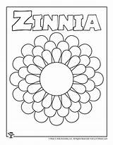 Zinnia Worksheets sketch template