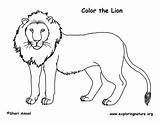 Lion Coloring Pages Lions Printable Kids Print Real Color Animal Male Cartoon Sheets King Choose Board Exploringnature sketch template