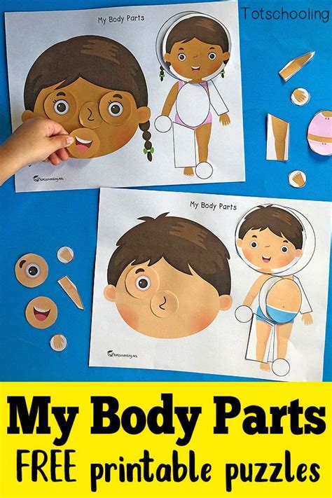 body part kindergarten worksheet