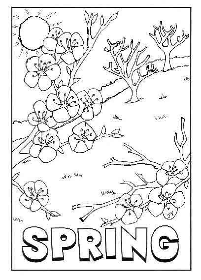blossom spring day pictures coloring pages  kids  printable