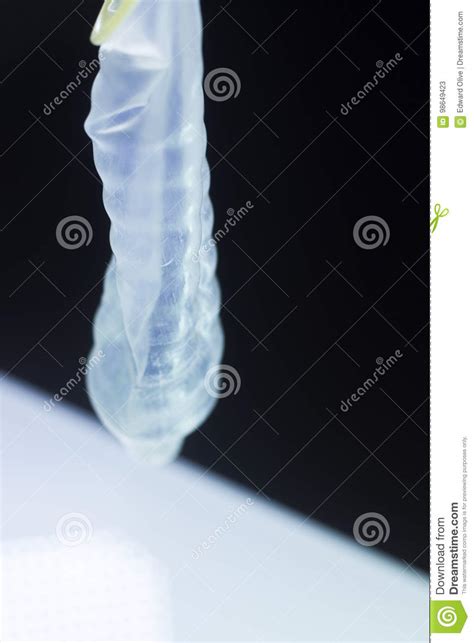rubber condom contraceptive stock image image of disease protect