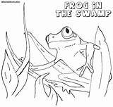 Swamp Coloring Pages Print 63kb 955px 1000 sketch template