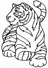 Tigre Haiwan Amur Harimau Mewarna Colorear Mewarnai Hermoso Kertas Bela Binatang Ausmalbild Tigres Colorironline Categorias Kidipage Desenhosde sketch template