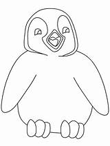 Pingwiny Kolorowanki Wydrukowania Dzieci sketch template