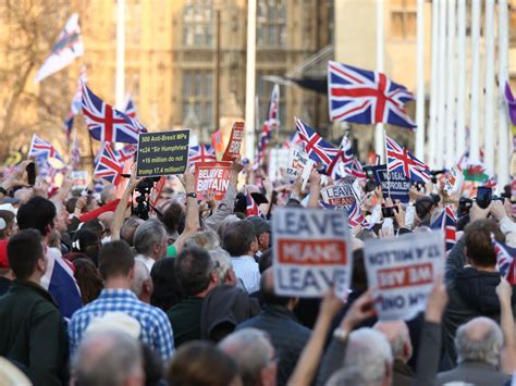 brexit day protest  arrests  pro leave demonstrators march  parliament