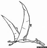 Coloring Dinosaur Pages Quetzalcoatlus Dino Dan Drawing Pterodactyl Line Comments Getdrawings Parasaurolophus sketch template
