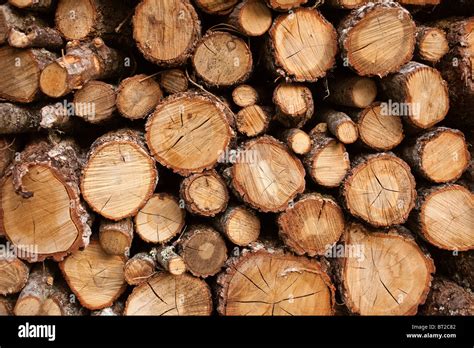 de madera  res stock photography  images alamy