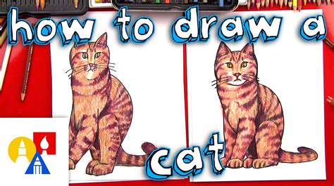 draw  realistic cat