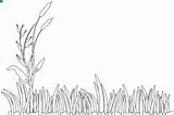 Grass Outline Clipart Colouring Pages Drawing Coloring Clip Tall Template Blades Transparent Sketch Simple Kids Flower Arts Vector Clker Search sketch template