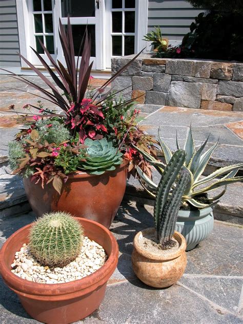 unique outdoor planters   garden homesfeed