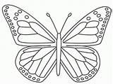 Coloring Butterfly Pages Cartoon Library Clipart sketch template