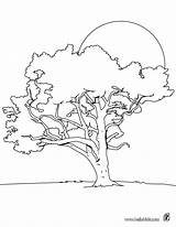 Tree Coloring Color Pages Lime Print Trees Hellokids Para Sheet Imprimir Book Colouring Dibujos Adult Colorear sketch template