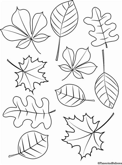 fall leaves coloring page unique fall coloring pages  young children