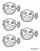 Pufferfish Printcolorfun sketch template