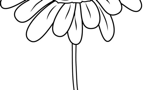 daisies clipart flower coloring page daisies flower coloring page