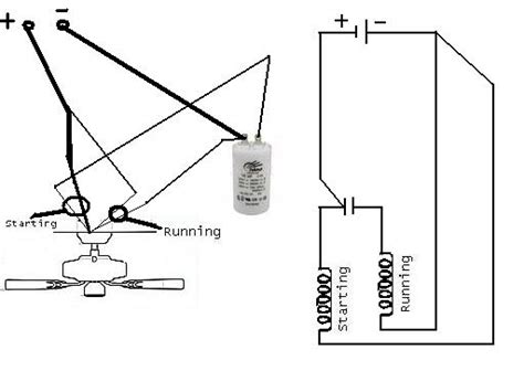 information culture science technology