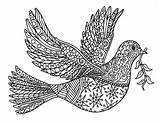 Peace Dove Coloring Zentangle Bird Sheet Preview sketch template