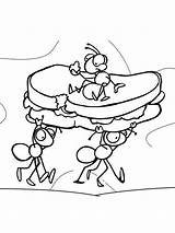 Coloring Pages Ant Ants Color sketch template