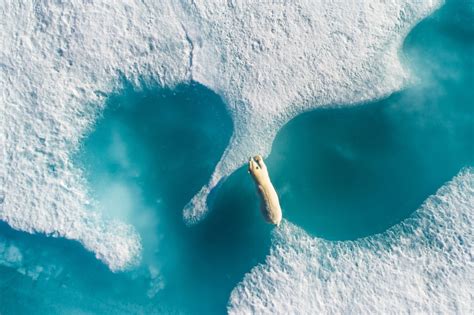 gallery  drone photo awards