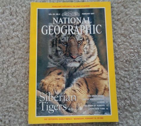national geographic magazine siberian tigers february  national geographic magazine