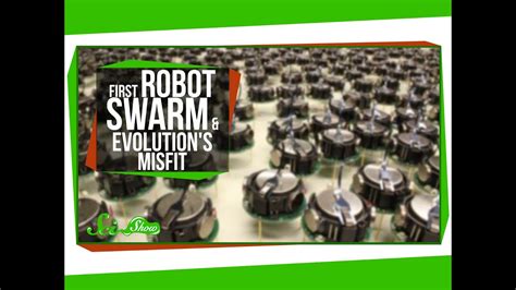 swarm robotics   link potentfeed