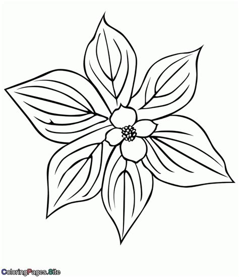 flowers  coloring archives coloring pages
