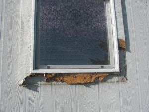 replace mobile home windows heres