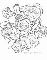 Coloring Pages Rose Myway Search sketch template