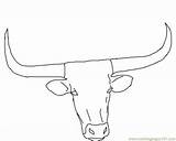 Longhorn Muskox Musk Ox sketch template